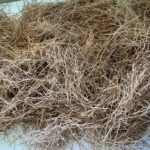 Washed & dried prior to distillation